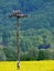 Field of plants for bio fuel