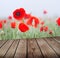 Field of poppies and empty wooden deck table