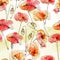 field poppies  seamless pattern