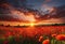 A field of poppies at sunset