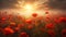 field of poppies under rays of sunrise wallpaper