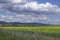 Field of rapeseed with beautiful cloud and mountains - plant for green energy.Amazing sky