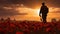 Field of red poppies on Armistice Day, a solemn and reflective scene with a single soldier silhouetted against the morning sky