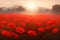 Field of red poppies at sunset, nostalgic illustration. Generative Ai