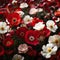 Field of Red, White, and Pink Flowers