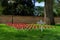 Field of Remembrance of the Aboriginal Australian in Adelaide, Australia