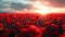 Field of Remembrance: AI-Generated Poppy Tribute for Veterans Day