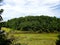 Field, River and Trees Nature Bliss. Virginia Beach, VA