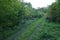 A field road overgrown with grass among trees and shrubs on a sunny autumn day. The area is inaccessible to others. Autumn. Day