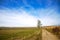 Field, road, sky and black locust