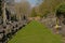 Field with rows of graves in Westerbegraafplaats cemetery, Ghent