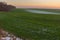 Field with rows of winter crops at sunset time in an autumnal season in Ukraine