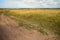 Field, Russian field, evening, day, autumn in the field