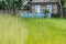 Field of rye with cornflowers and chamomiles