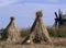 Field with sheaves of hay Russia