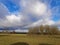 Field of Sheep. Green pastures in England.