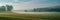 field shrouded in mist and fog with some daisies on the field edge and trees in the background, panorama