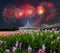 Field of Siam tulip, Beautiful building with reflex on the lagoon againt twilight sky and fireworks background in public