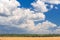 Field and sky with bird little silhouette