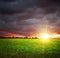 Field and sky with heavy dark clouds