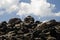 Field of solidified lava covered by lichens and clouds.