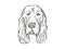 Field Spaniel Dog Breed Cartoon Retro Drawing