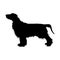 Field Spaniel Dog Silhouette Found In Map Of Europe