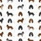 Field spaniel seamless pattern. Different poses, coat colors set