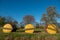 a field stands a roller with three rollers