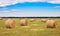 Field with straw bale