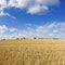 Field, stubble field.