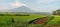 Field with Sumbing mountain in the background