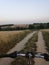 Field, summer view, tranquil landscape of countryside