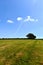 Field on a summers day, Cornwall UK