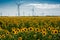 Field with sunflowers and eco power, wind turbines