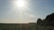 Field with sunflowers at sunset. the sun`s rays penetrate the foliage