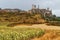 Field of sunflowers with the walls and castle Calatanazor background