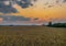 Field and sunset with orange sky in Olesko village in central Bohemia