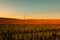 Field at sunset of a summer day against a background of a cloudy gradient sky, Belarus, Grodno