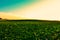 Field at sunset of a summer day against a background of a cloudy gradient sky, Belarus, Grodno