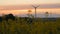 field - sunset with wind turbine.