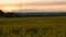 field - sunset with wind turbine.