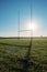 Field with tall goal posts for Irish National sports on green grass against clear blue sky and the sun. Rugby, hurling, camogie