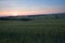 A field in Val d`Orcia also called Valdorcia landscape in Tuscany at sunset. A very popular travel destination in Italy