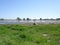 Field with Vernal Pool, Santa Rosa Plateau, California