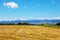 Field with View of the Rocky Mountains