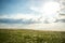 The field of the waddle bathed in the rays of the setting sun