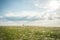 The field of the waddle bathed in the rays of the setting sun and a couple in love walking on it