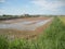 Field watered by flood irrigation