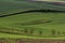 Field waves with trees in the spring in South Moravia, Czech Republic